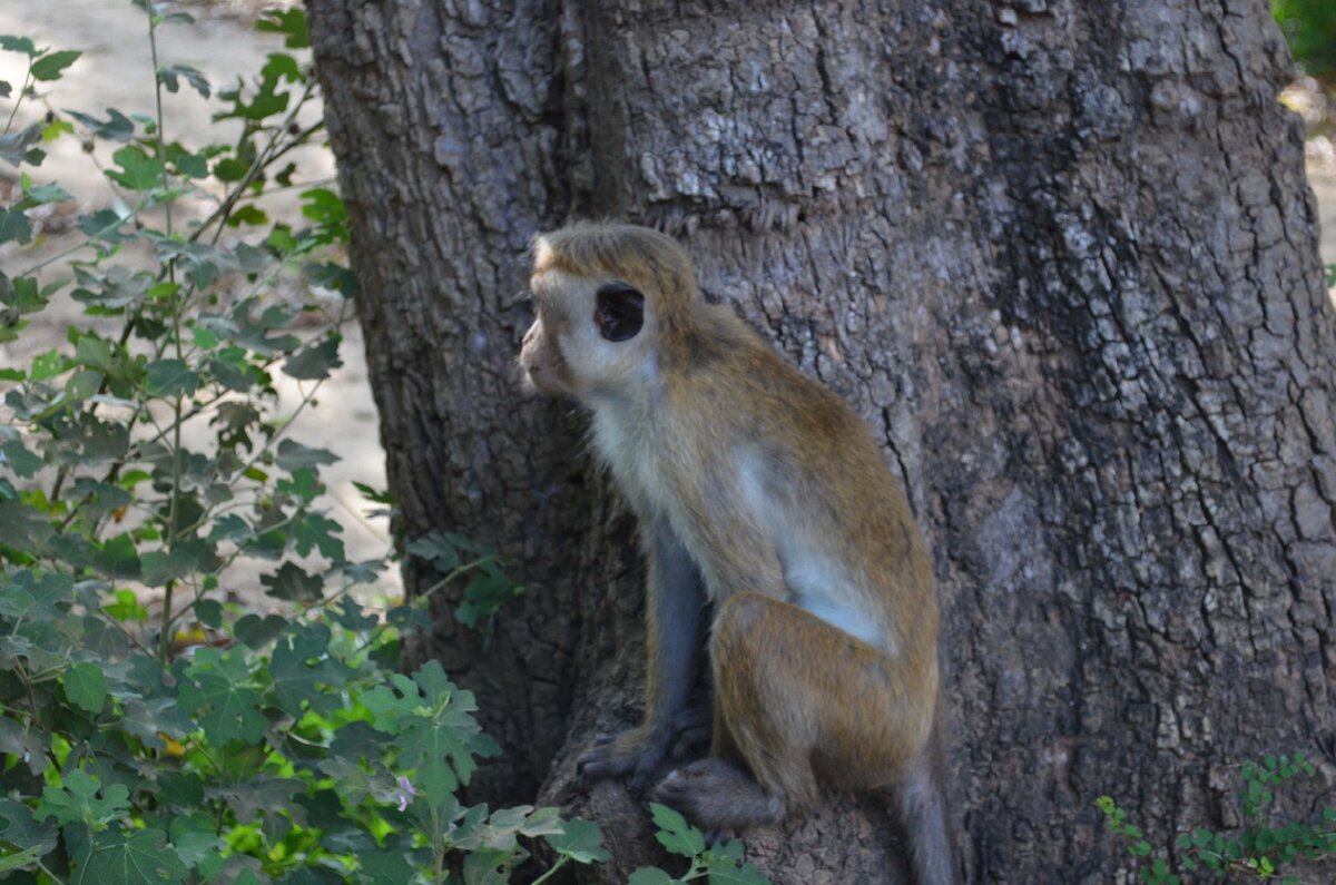 Из личного архива