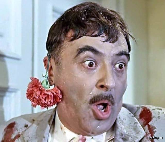 Фото из открытых источников.