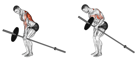 Single arm T-bar row