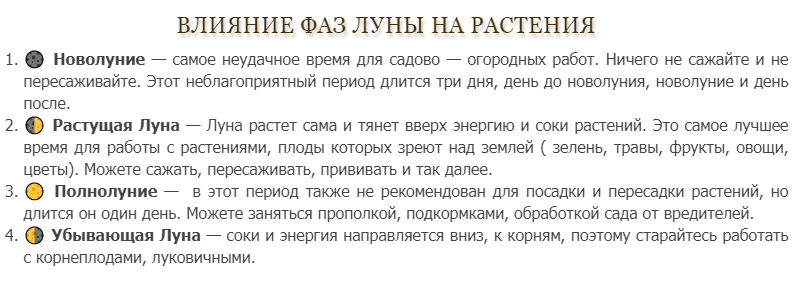 ОБщие рекомендации по выращиванию растений с учетом фаз Луны