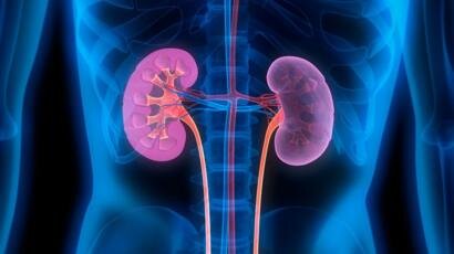 фото с сайта https://ichef.bbci.co.uk/