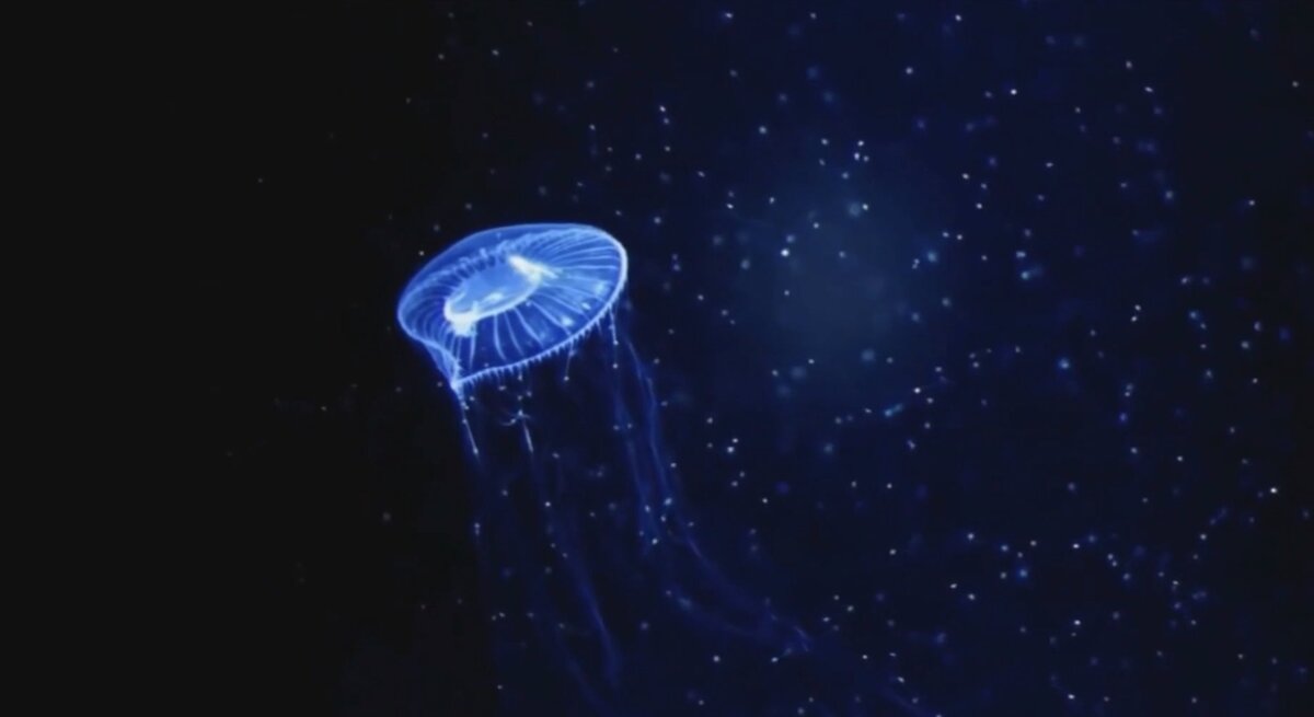 Источник https://youtu.be/7Q9x3a2si8M