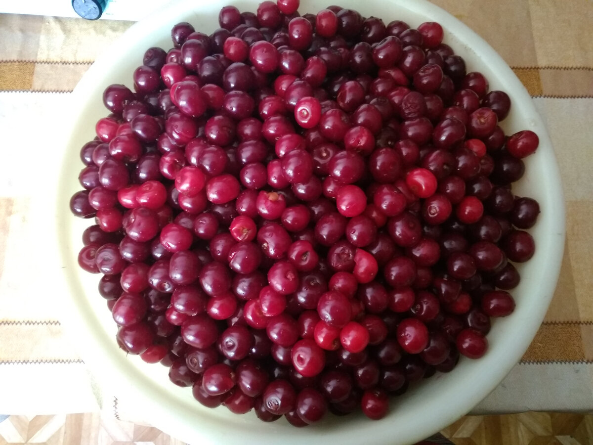 урожай черевишни