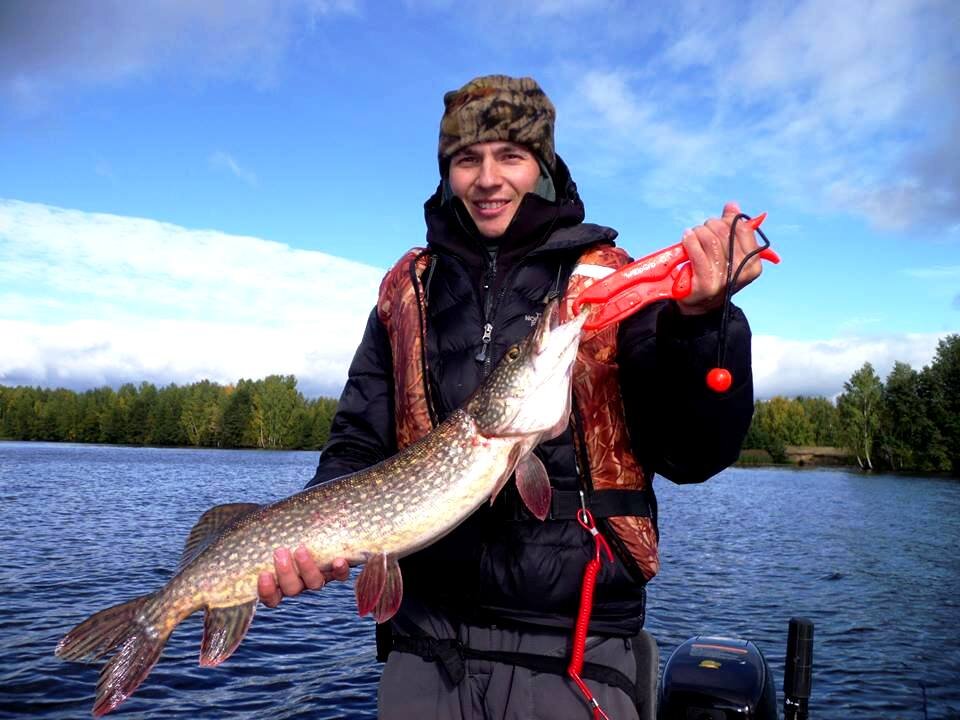 Щука 1 октября Вода остыла до 14 градусов