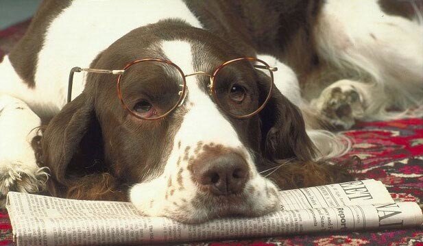 Чтобы что-то узнать надо уже что-то знать.