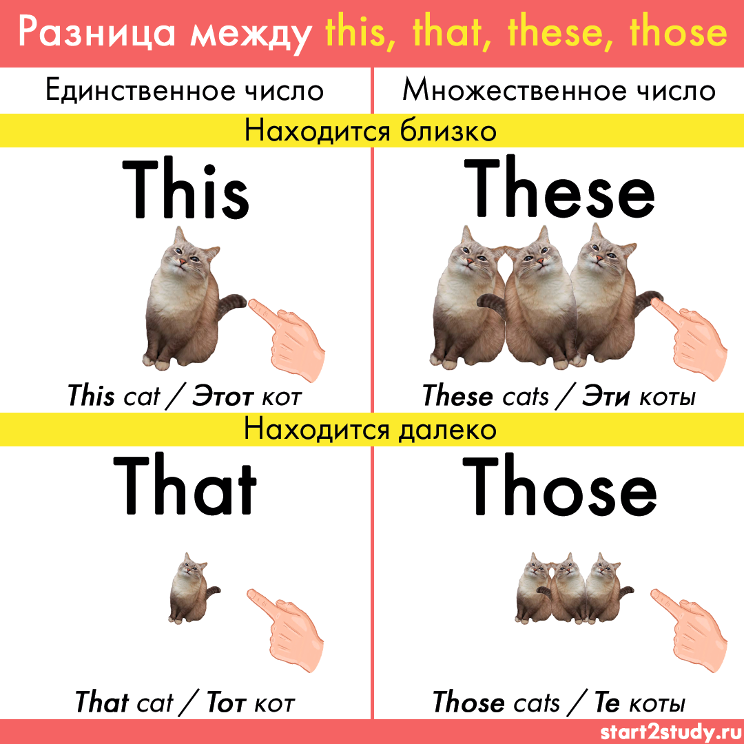 These are my friends. Употребление this that. Употребление this that these those в английском языке. Указательные местоимения this that these those. This is that is these are those are правило.