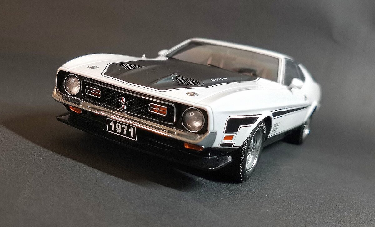 Ford Mustang Mach 1 1971 №73067