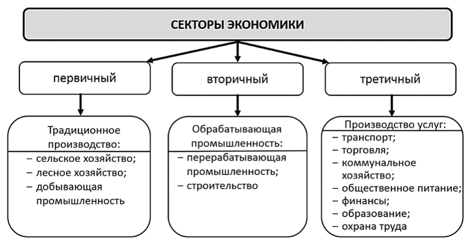 Экономический сектор отрасли