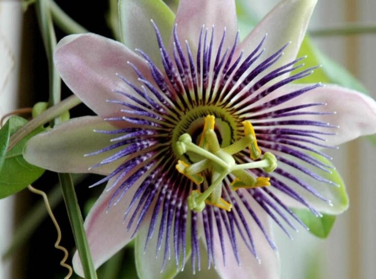 Фото из открытых источников Яндекс. 