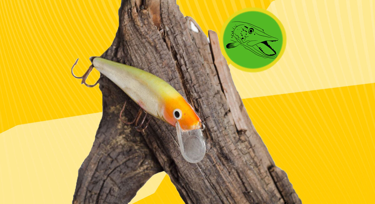  Ставьте 👍 и подписывайтесь на канал! Вы поможете развитию канала!
