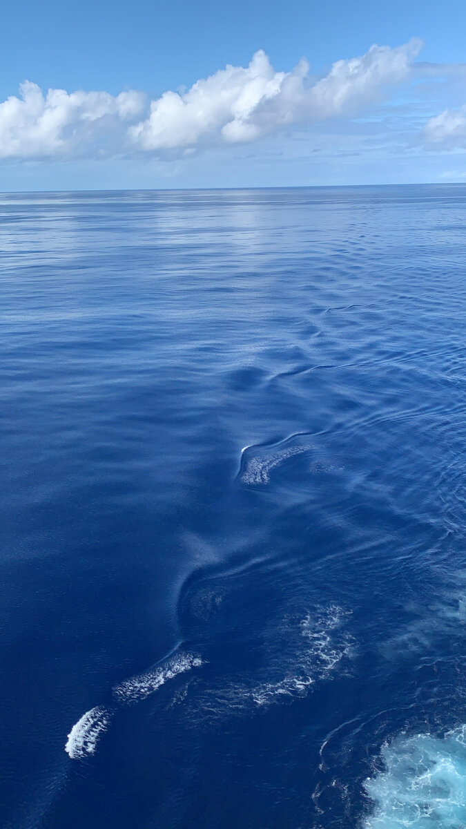 Карибское море. Вид с лайнера. Фотография из личного архива.