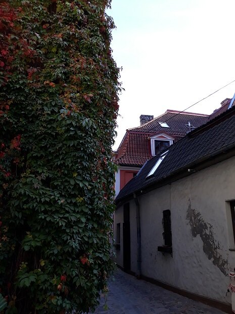 Рига, 8 октября 2020