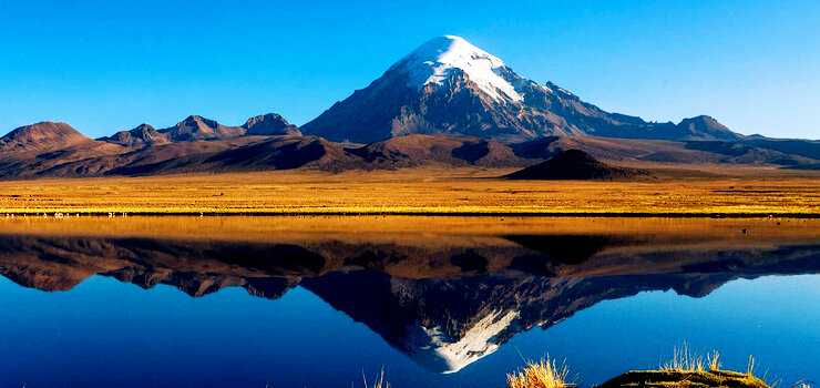 Фото из интернета.