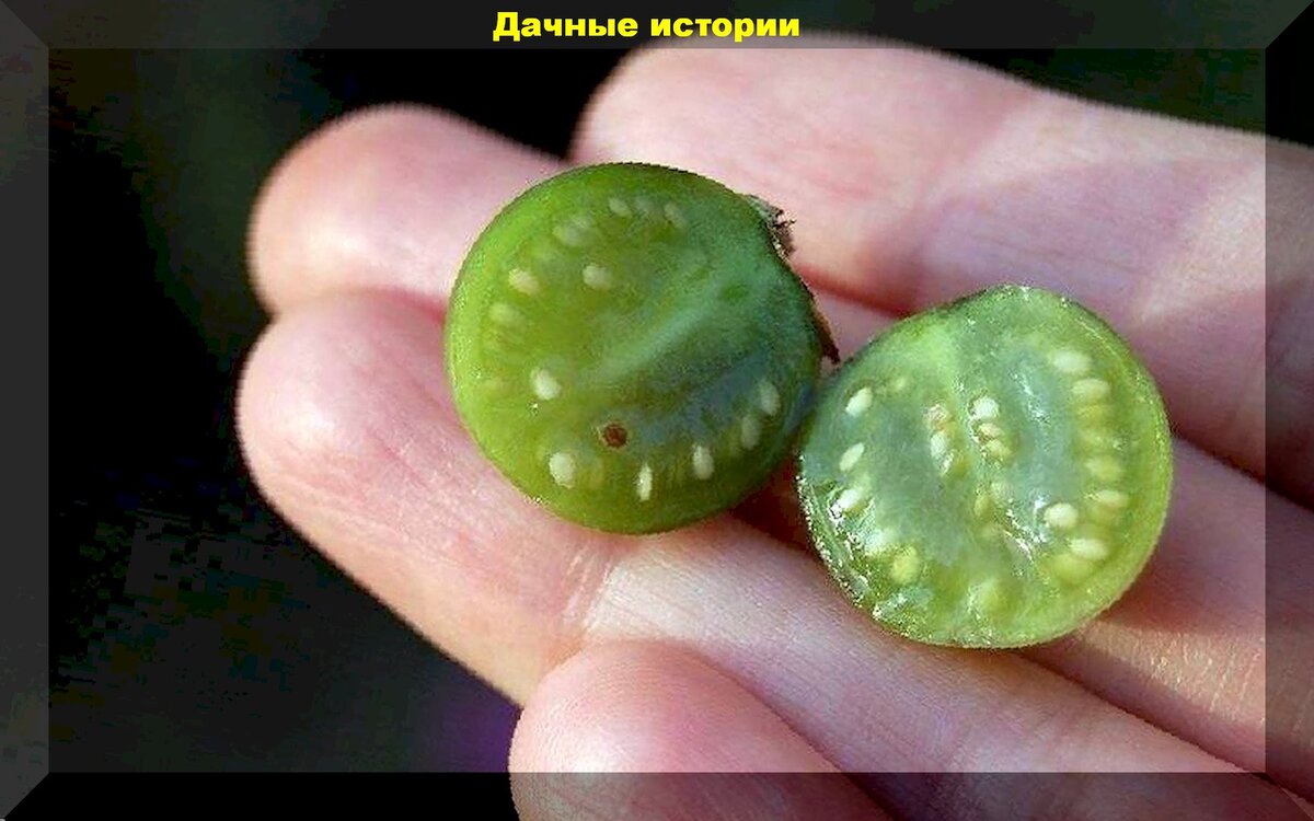 https://vk.com/photo-159774511_457245619