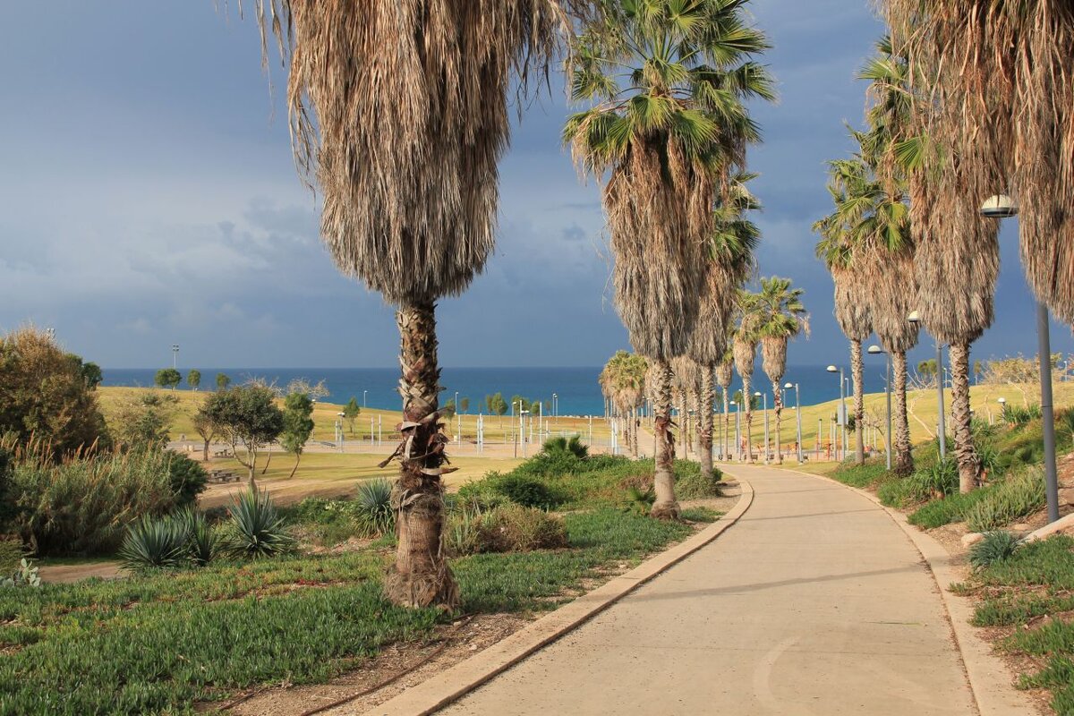 1 января 2020 года, а как классно все начиналось!