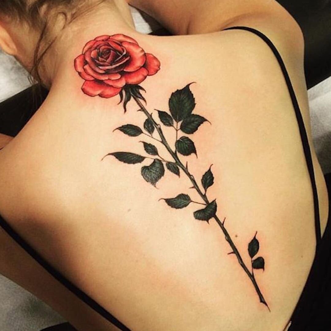Женские тату розы. Татуировки женские. Красивые тату для девушек. Тату для женщин на спине. Шикарные женские тату.