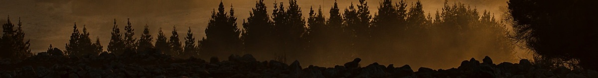 Книжный бульвар