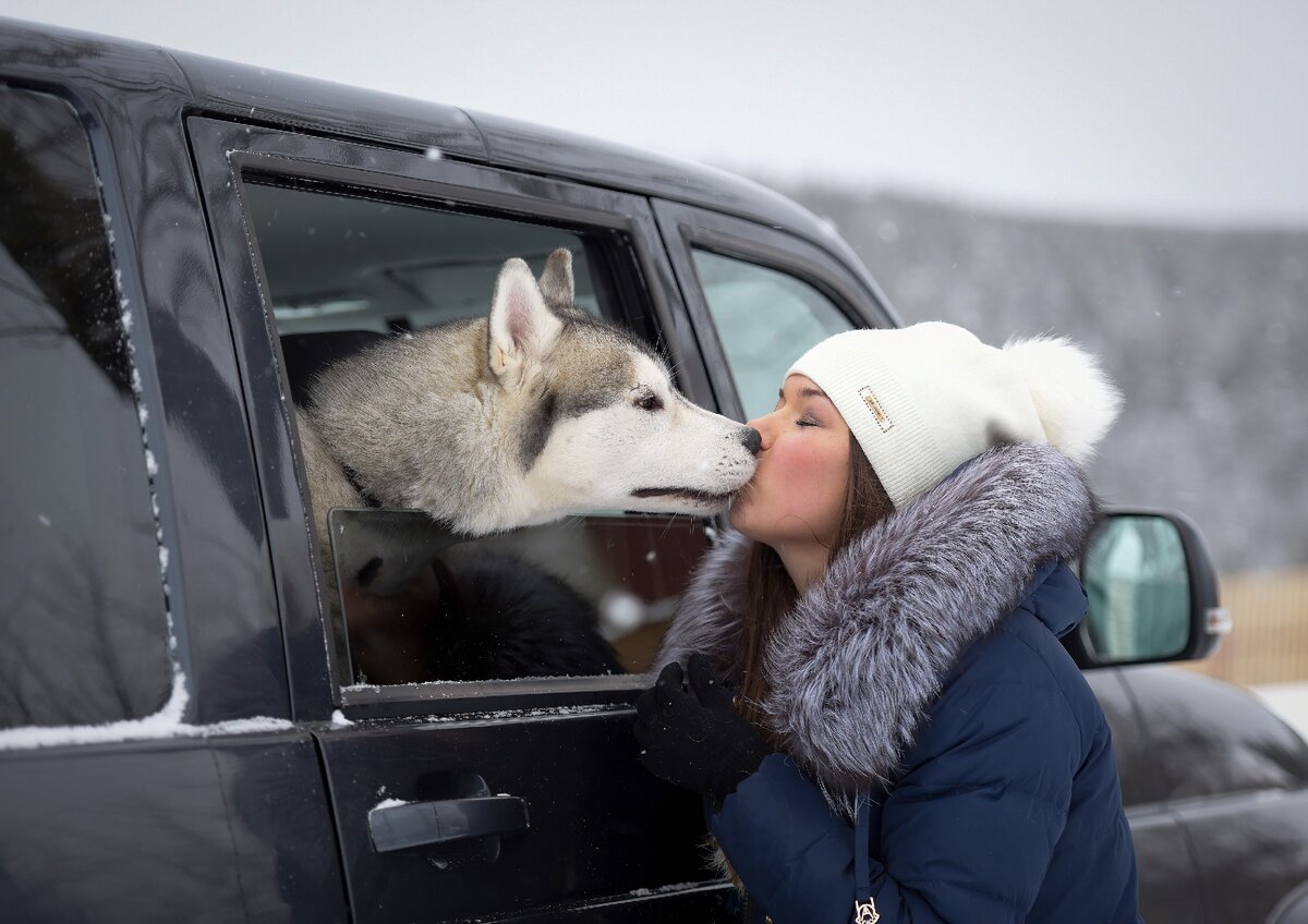 Екатерина и Хаски, фотограф Андрей Огородников (г. Нолинск, Кировская область)