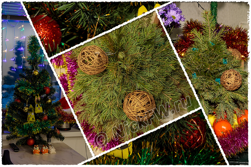 © «Фото.дзен - NickFW.ru»