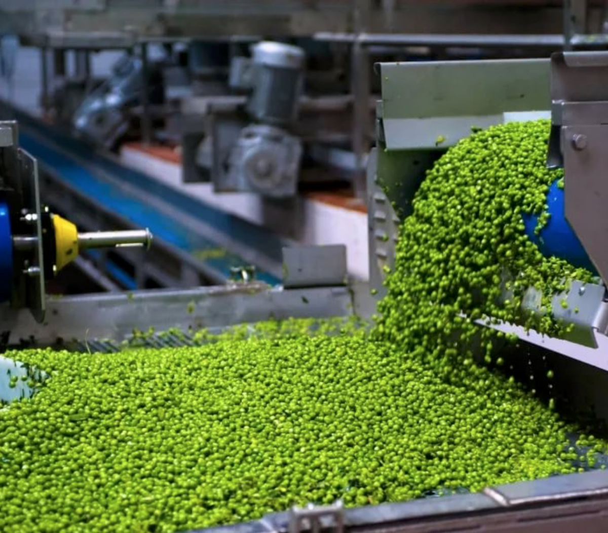 стружка для производства дсп. заводы производящие сырье. заводы производящие сырье. промышленность полимерных материалов. оборудование для пищевой промышленности.