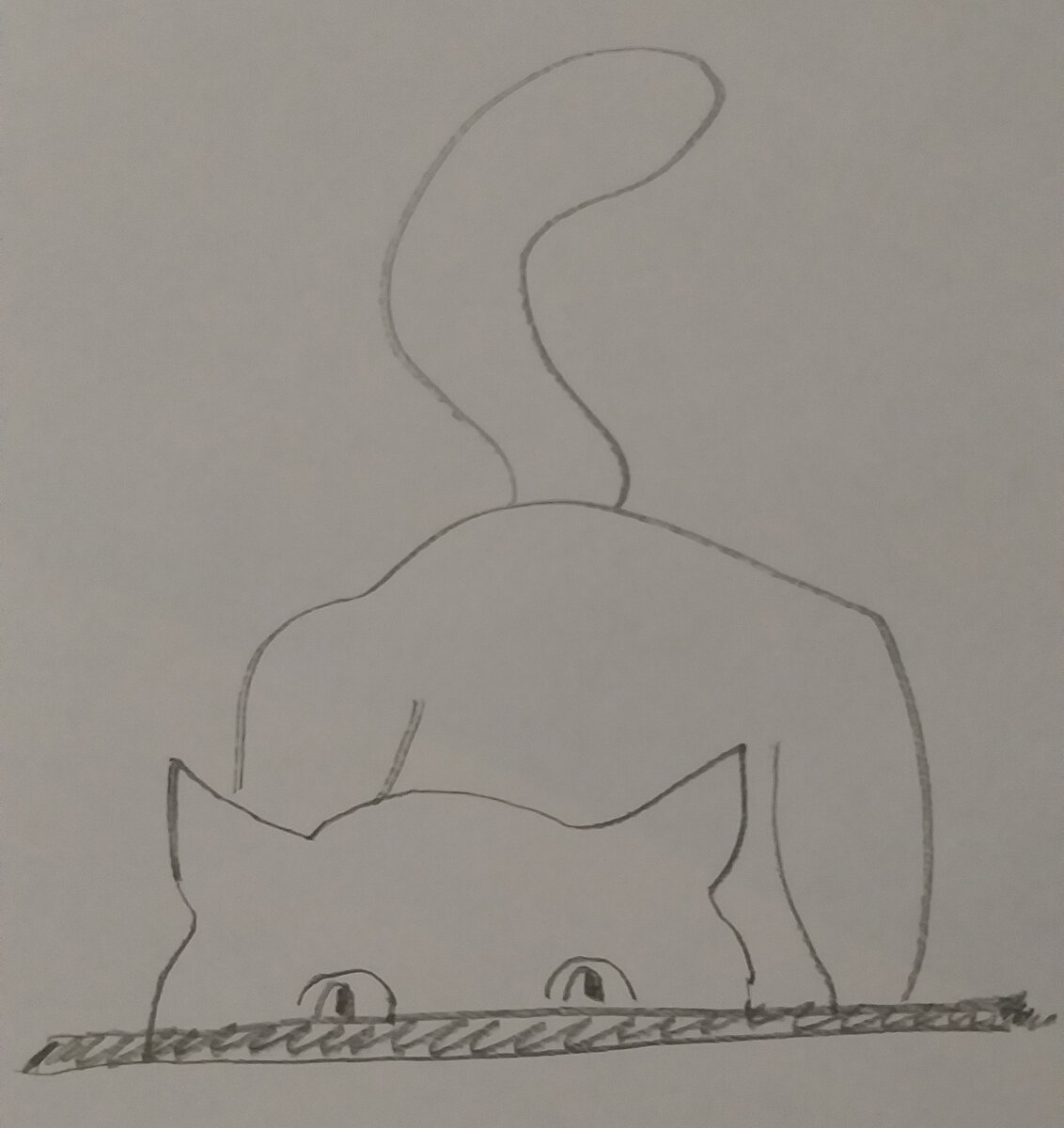 Кошка перед прыжком.