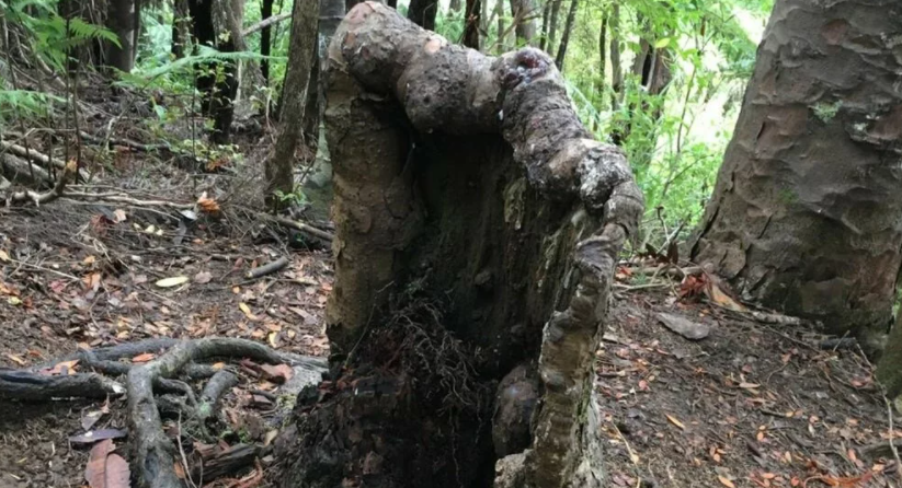 фото взято из открытых источников