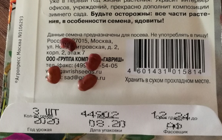 Семена сесбании