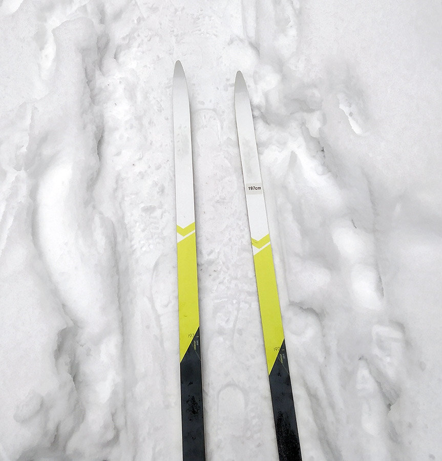 те самые лыжи, которые натолкнули меня на эти мысли. фото автора.