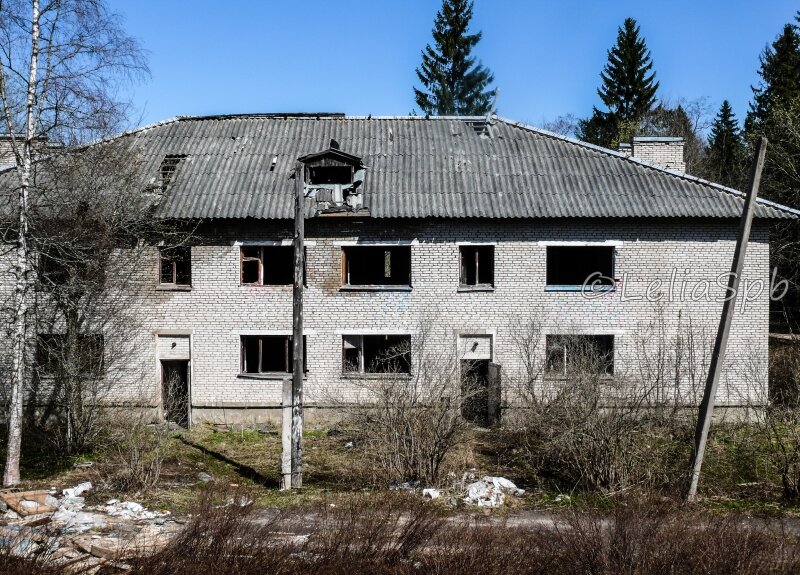 Фото из личного архива. Обе были примерно похожи.