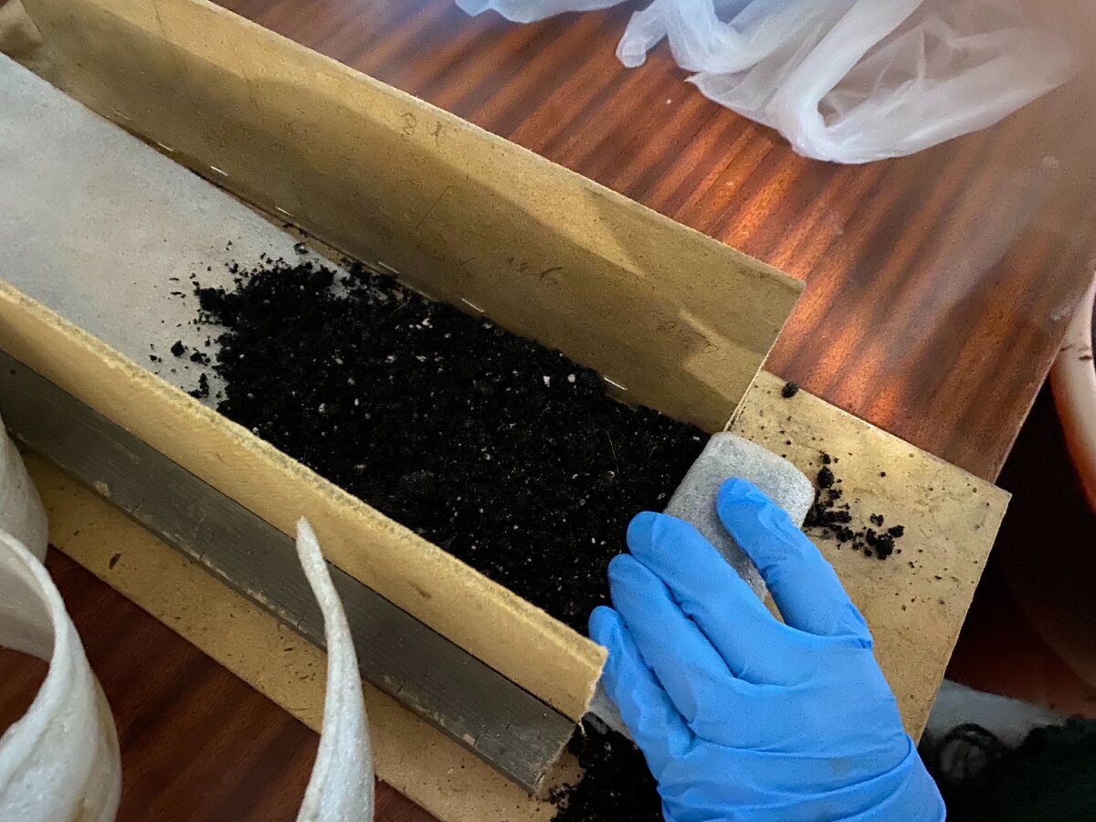 Выложили грунт и закатываем подложку в спираль. Потом сдвинем  и еще выложим грунт, опять закрутим.