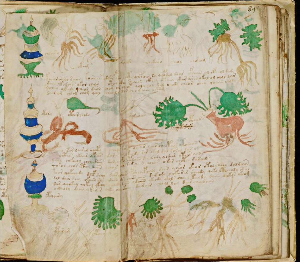 Страницы рукописи Войнича. Фото из открытого источника в Яндексе