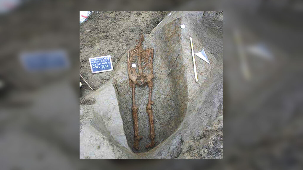 Скелет из одиночного захоронения в Гавелло. Фото: Soprintendenza archeologia per le province di Verona, Rovigo e Vicenza