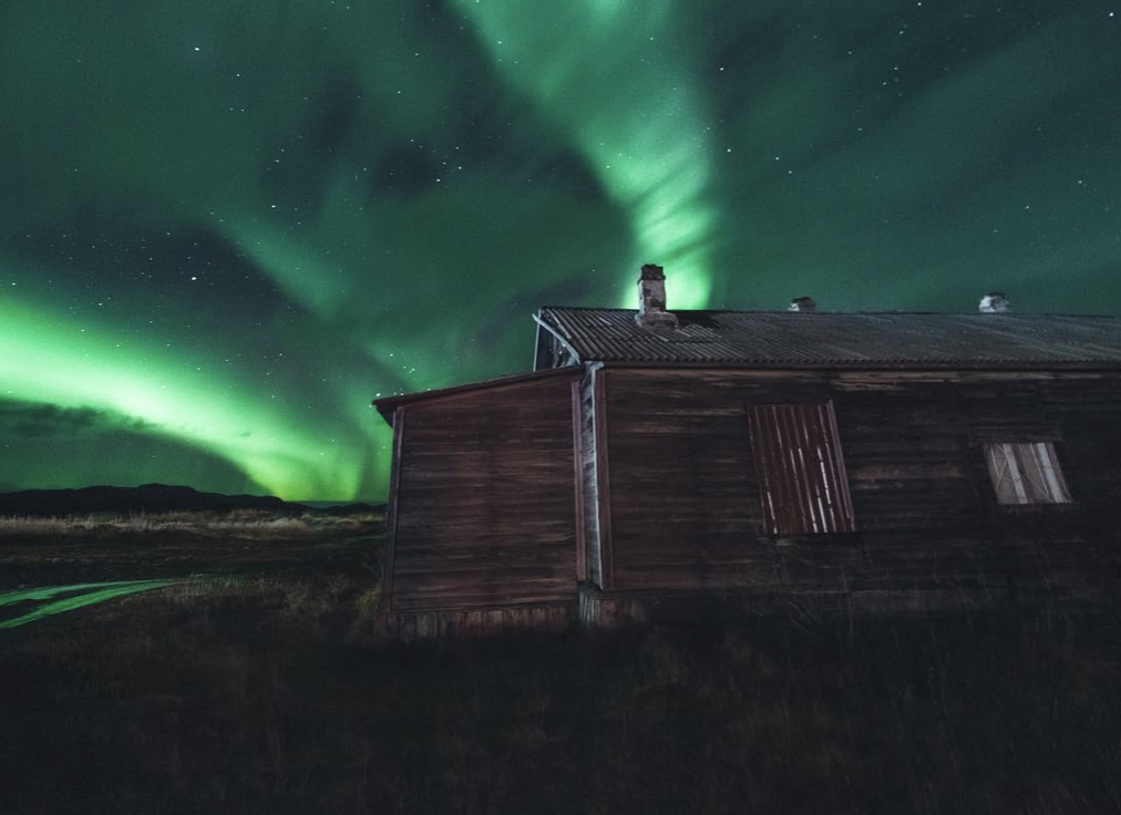 Фото: @ted.ns, instagram.com*