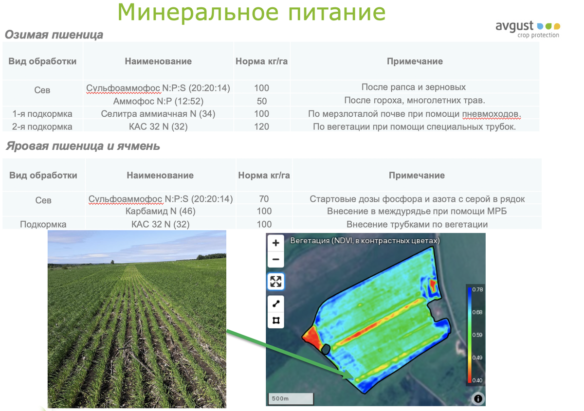 Питание озимой пшеницы