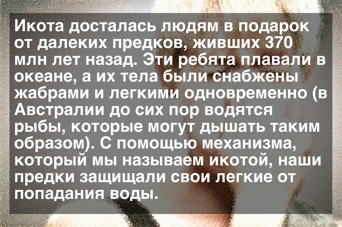 Почему мы икаем?