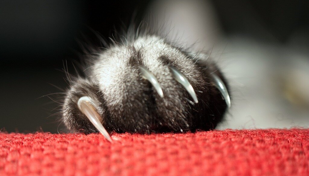 #ткань для мебели 