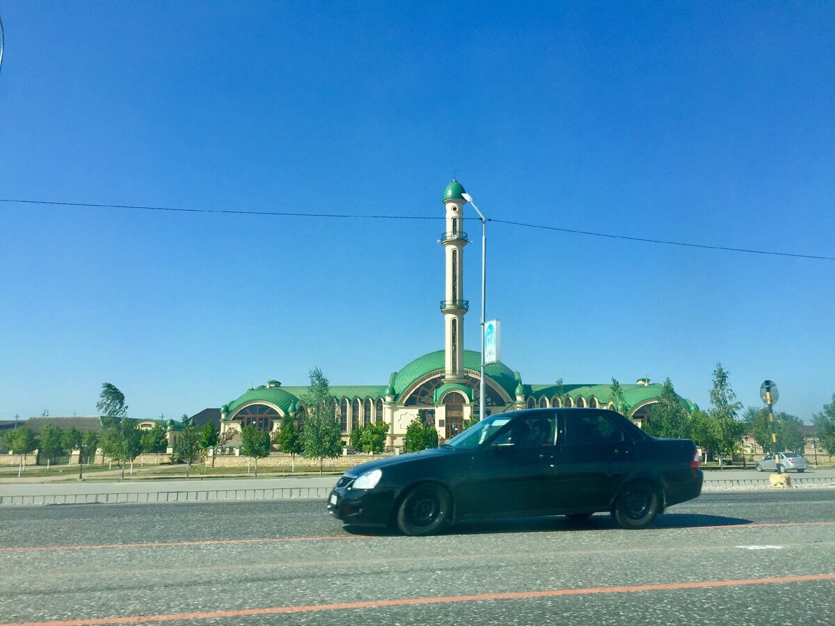 Поехали с подругами в Чечню, а мужей оставили дома - стало перед ними  стыдно | Ершова Марина | Дзен