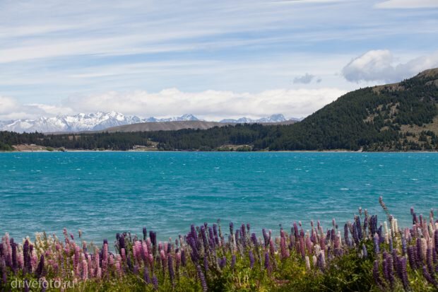 Голубая вода озер Pukaki