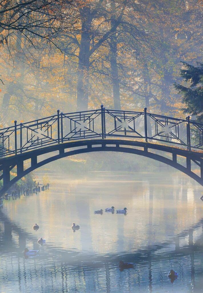 В жизни каждого есть свой мост судьбы, и никому не ведомо что  на другом конце... Но не каждый может рискнуть перейти его, предпочитая смотреть в неведанную даль...