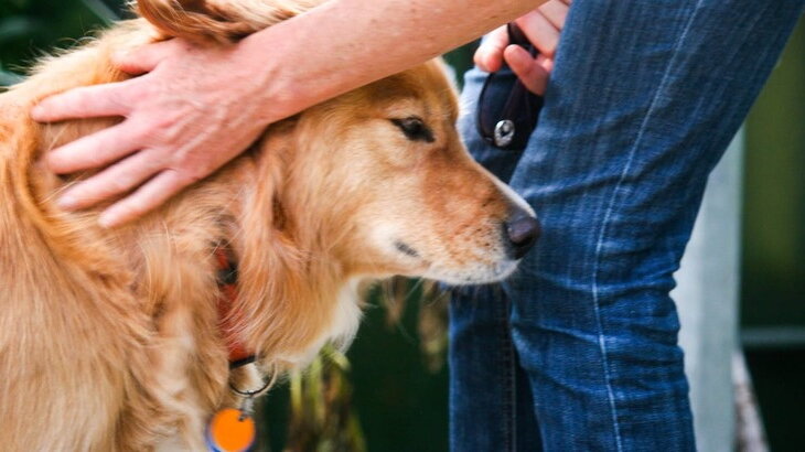 Команда рядом