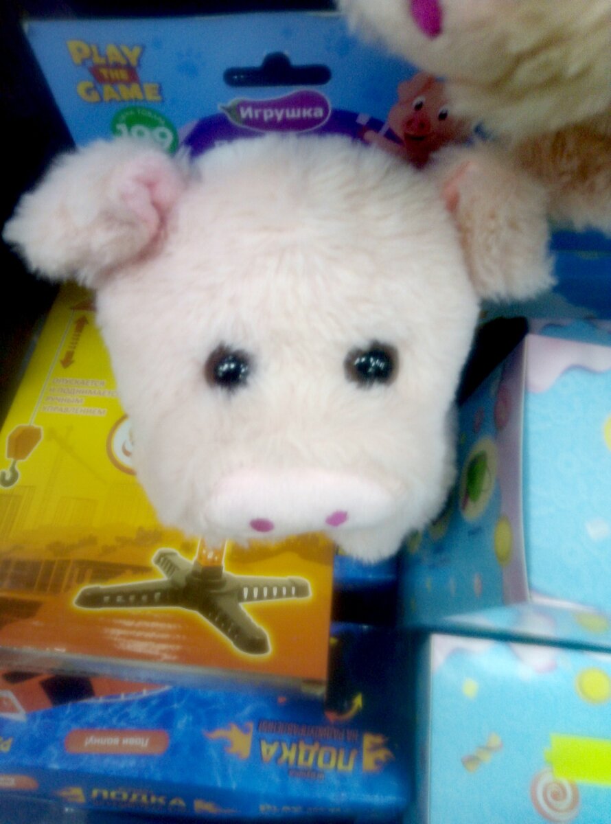 Это плюшевый поросенок, милый, мягонький и розовый! Хотя может кому-то покажется, что это собачка.