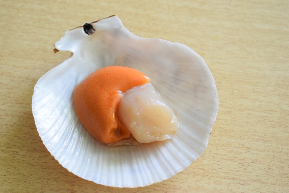 обработка морского гребешка. первичная обработка морского гребешка. морской гребешок с икрой. морской гребешок на створке. можно ли есть гребешки сырыми.