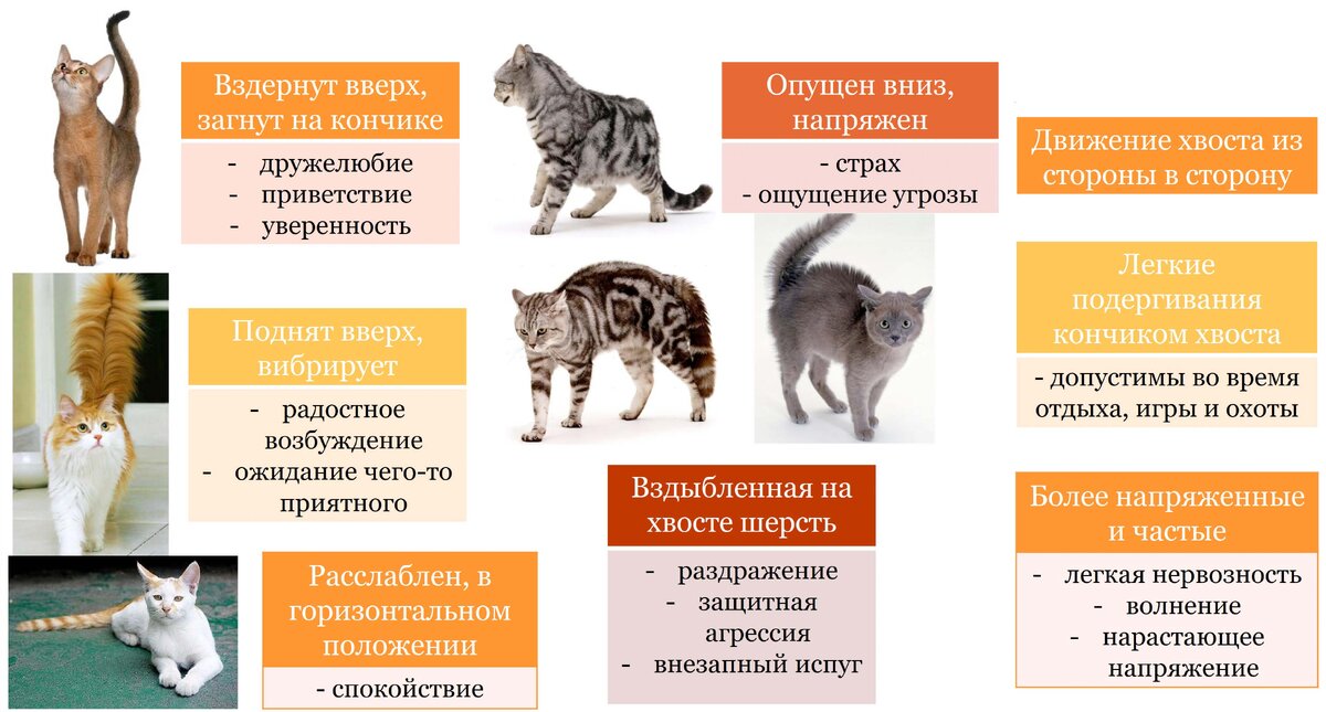 Листайте вправо