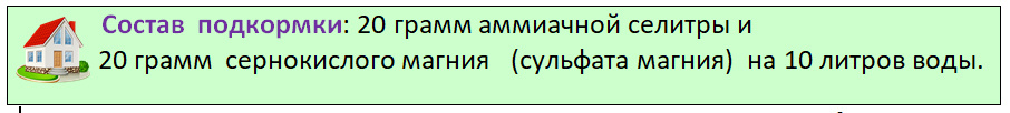 Рецепт подкормки