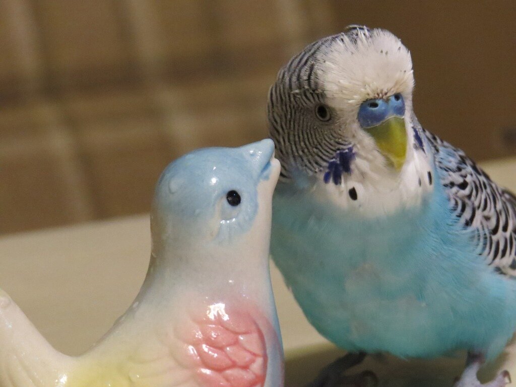 -1-2