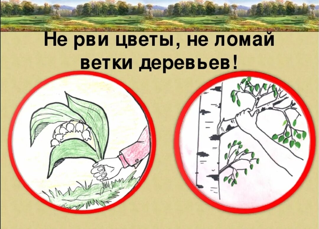 Созрел вопрос... как? - YouTube