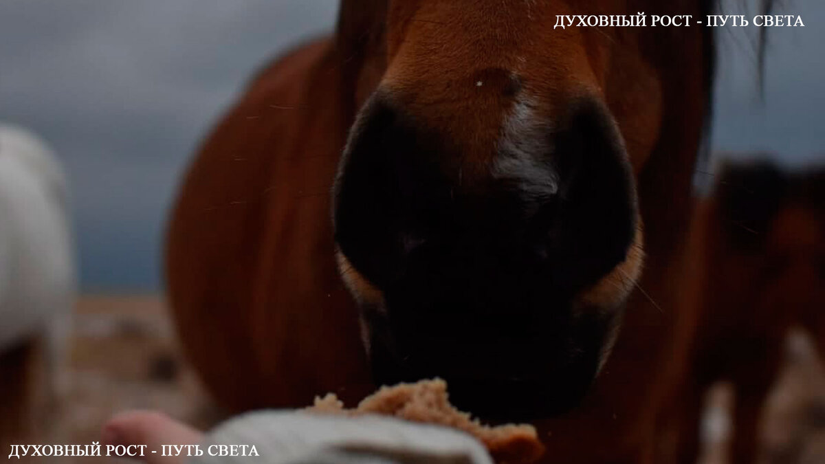 только преодолев страх, можно шагнуть вперед