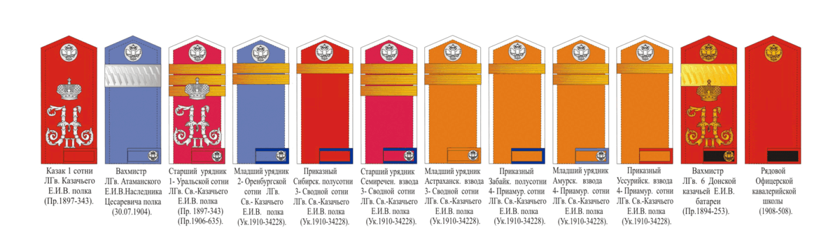 Казачьи погоны и звания нового образца
