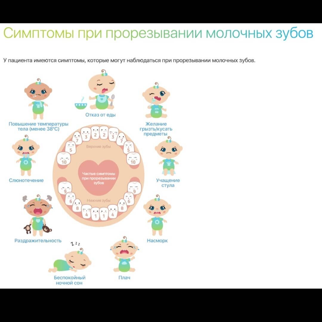 Прорезывание молочных зубов - период дентации🦷 | dr_katerisssa | Дзен