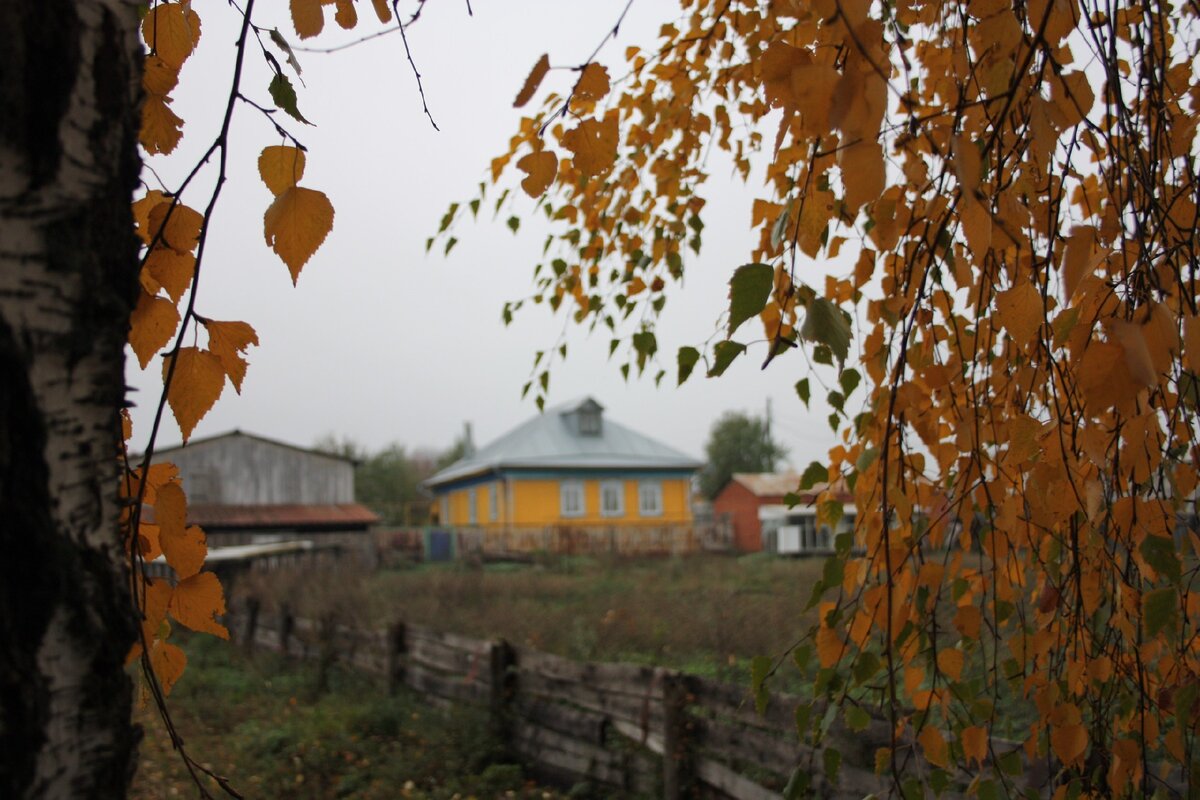 Где-то в Череккулево. Фото: VK
